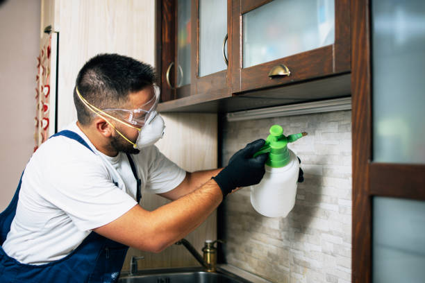 Best Pest Inspection Near Me  in Thoreau, NM