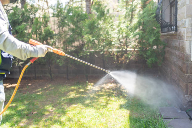 Best Insect Control  in Thoreau, NM