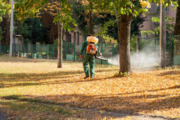 Best Local Pest Control Services  in Thoreau, NM